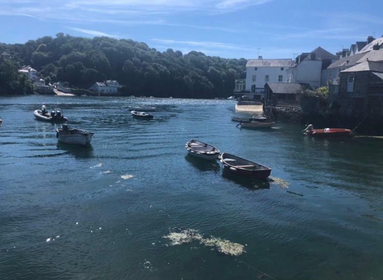 Fowey Landing Daire Dış mekan fotoğraf